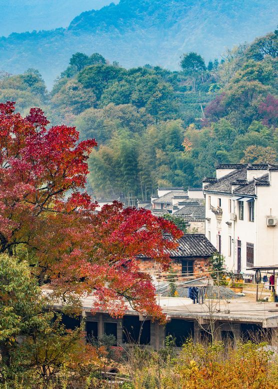 {浦東}(78月份国内适合去哪旅游呢)