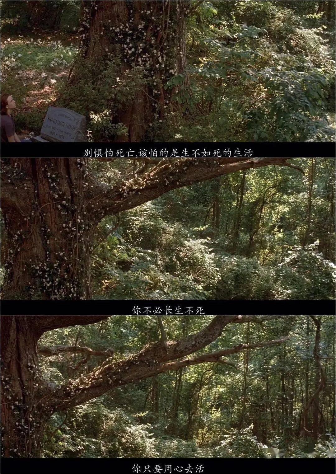 {賭馬}(必看10部震撼人心的经典电影)